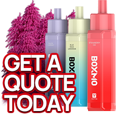 BOXMO Vape Price