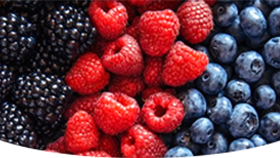 VAPTEX GORIN Blueberry Raspberry