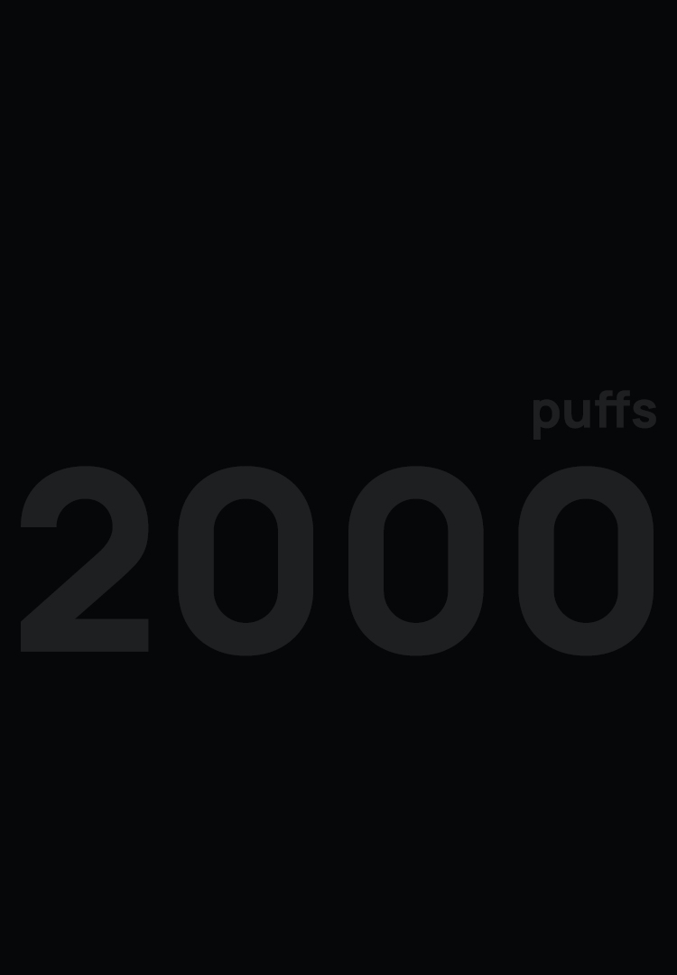 GORIN 2000 puffs