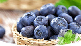Blueberry Ice
